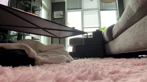 Snapshot of hotgirlbigbutt chatting on May 2026 11:47:01 AM hotgirlbigbutt online show from May 2026 11:47:01 AM