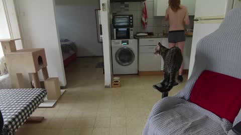 Snapshot of hotinhell666 chatting on December 2024 09:50:02 AM Hikikomori Alex online show from December 2024 09:50:02 AM