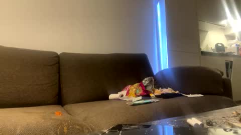 Snapshot of hotje458367 chatting on October 2025 09:51:01 AM hotje458367 online show from October 2025 09:51:01 AM