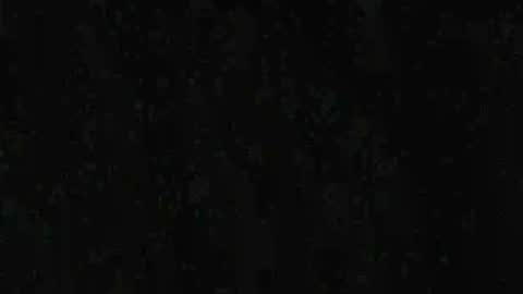 Jack online show from November 2025 05:19:02 AM