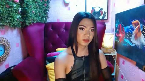 Summer online show from January 2025 07:53:02 PM