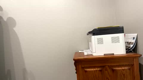 hottiewithabody101 online show from January 2026 12:19:01 PM