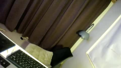 Snapshot of hugcock69_precious chatting on December 2024 06:56:01 AM Precious online show from December 2024 06:56:01 AM