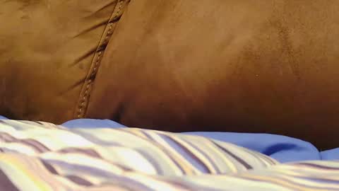 BigFTMdick online show from December 2024 06:01:02 AM