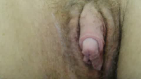 BigFTMdick online show from December 2024 08:33:02 PM