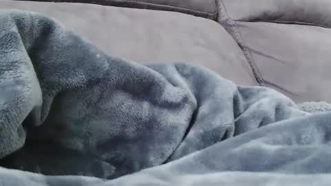 BigFTMdick online show from December 2024 10:28:01 PM