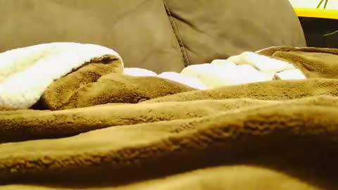 BigFTMdick online show from December 2024 07:15:02 AM