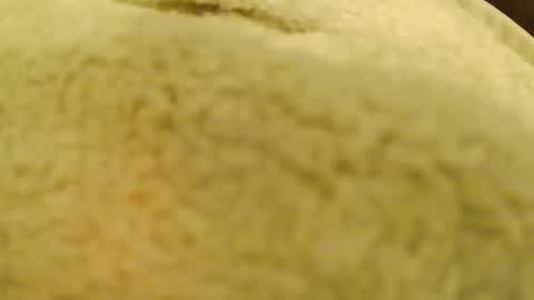 BigFTMdick online show from January 2025 06:41:01 AM