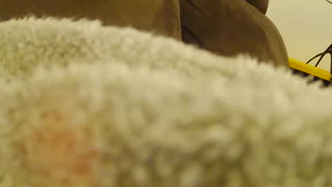 BigFTMdick online show from January 2025 04:26:01 AM