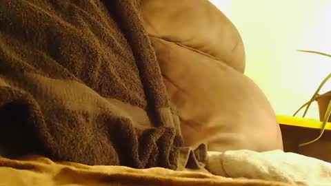 BigFTMdick online show from January 2025 10:40:01 AM