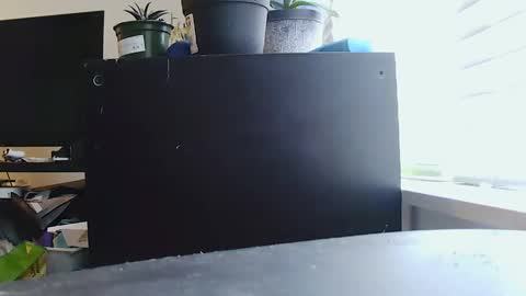 BigFTMdick online show from January 2025 11:13:02 PM