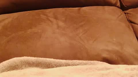 BigFTMdick online show from January 2025 05:12:02 AM