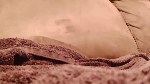 BigFTMdick online show from January 2025 05:37:02 AM