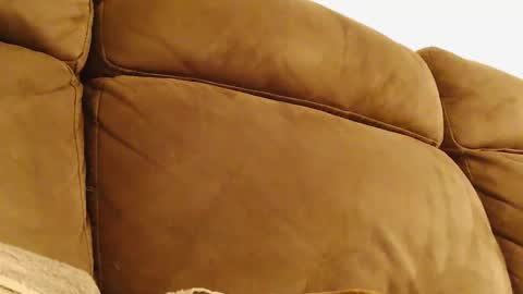 BigFTMdick online show from January 2025 04:06:01 AM