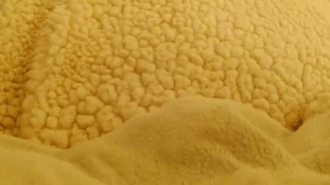 BigFTMdick online show from February 2025 05:53:02 AM