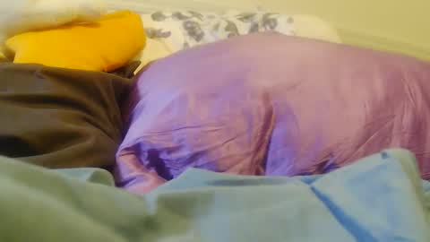 BigFTMdick online show from November 2025 07:46:02 PM