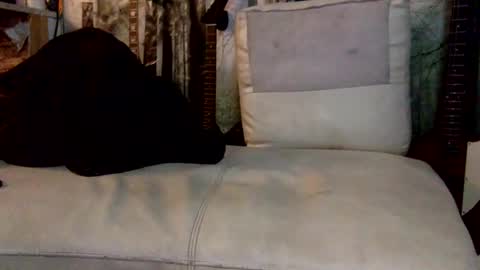 Snapshot of huippari chatting on December 2024 10:30:01 AM huippari online show from December 2024 10:30:01 AM