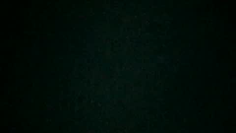 hummelbummel00 online show from November 2025 02:18:01 PM