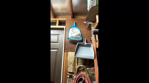 huskey300 online show from March 2026 10:06:01 PM