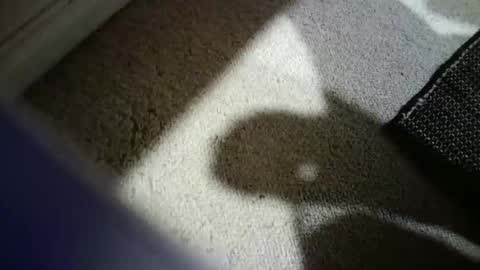 Hypeman online show from February 2026 03:58:01 AM