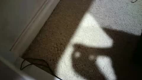 Hypeman online show from February 2026 07:49:01 AM