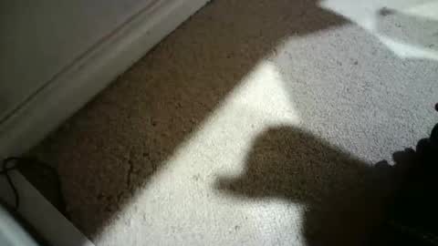 Hypeman online show from February 2026 06:23:01 AM