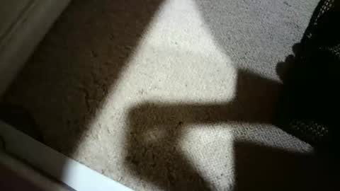 Hypeman online show from February 2026 10:10:02 PM