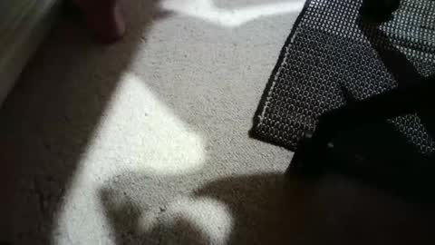 Hypeman online show from April 2026 05:21:01 AM