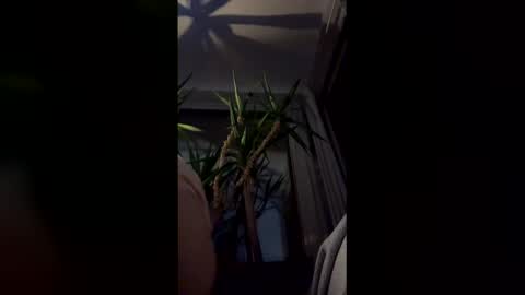 hypervenom369888 online show from March 2026 02:08:02 AM