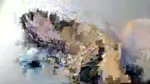 Snapshot of i_love_eula chatting on February 2025 01:59:01 PM cant get you out of my head online show from February 2025 01:59:01 PM