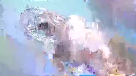 Snapshot of i_love_eula chatting on February 2025 02:22:02 PM cant get you out of my head online show from February 2025 02:22:02 PM