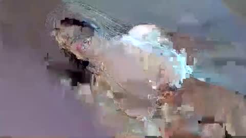 Snapshot of i_love_eula chatting on September 2025 12:33:01 AM cant get you out of my head online show from September 2025 12:33:01 AM