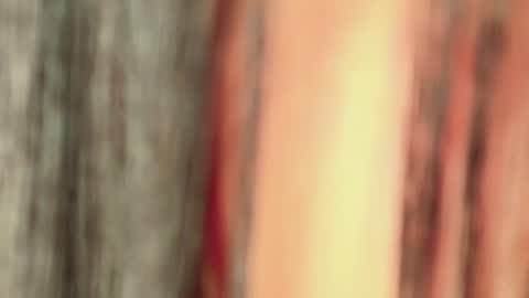 Isa online show from January 2026 04:50:02 AM