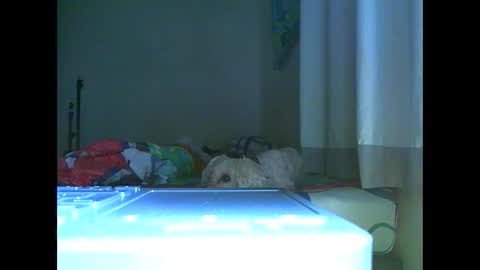 Snapshot of ian_zaenz chatting on November 2025 07:03:01 PM Ian is back my loves online show from November 2025 07:03:01 PM