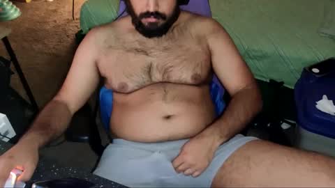 Snapshot of ibear_chat chatting on May 2026 04:07:01 AM iBear0 online show from May 2026 04:07:01 AM