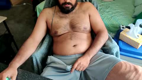 Snapshot of ibear_chat chatting on May 2026 08:06:01 PM iBear0 online show from May 2026 08:06:01 PM
