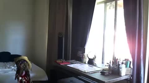 Snapshot of ibpms247 chatting on October 2025 03:45:01 PM PMS online show from October 2025 03:45:01 PM