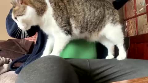 icums4u online show from March 2026 02:33:02 PM