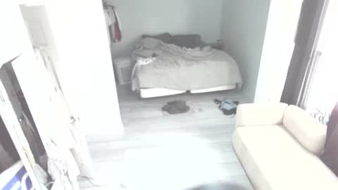 Snapshot of idiocracy517035 chatting on October 2025 11:29:02 PM idiocracy517035 online show from October 2025 11:29:02 PM