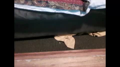 Snapshot of idkwhyidothis348732 chatting on January 2025 06:02:02 PM idkwhyidothis348732 online show from January 2025 06:02:02 PM