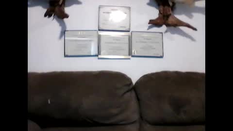 Snapshot of idkwhyidothis348732 chatting on January 2025 08:18:02 PM idkwhyidothis348732 online show from January 2025 08:18:02 PM