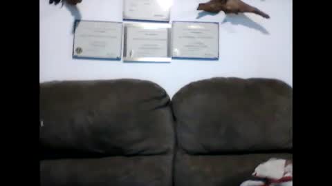 Snapshot of idkwhyidothis348732 chatting on February 2025 12:05:02 PM idkwhyidothis348732 online show from February 2025 12:05:02 PM