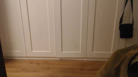 Ifk Donkeys online show from September 2025 06:07:01 PM