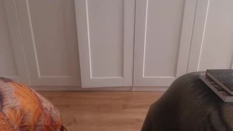 Ifk Donkeys online show from November 2025 12:47:01 PM