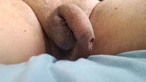 Snapshot of ikbenzo chatting on December 2024 10:41:01 AM ikbenzo online show from December 2024 10:41:01 AM