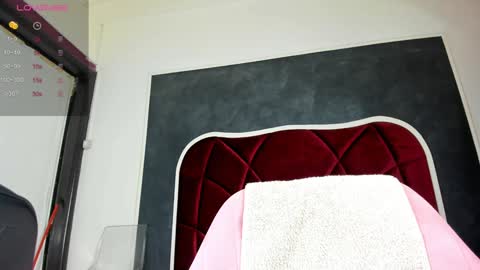 illegal_lorry online show from January 2025 05:30:01 AM