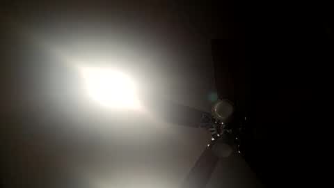 Snapshot of illrububuallday24 chatting on November 2025 02:54:01 AM illrububuallday24 online show from November 2025 02:54:01 AM