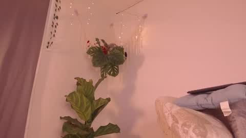 Snapshot of im__kaia chatting on January 2026 07:59:01 PM Kaia online show from January 2026 07:59:01 PM