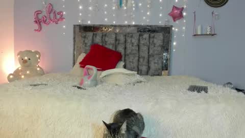 Snapshot of im_letty chatting on February 2025 05:43:02 AM Letty online show from February 2025 05:43:02 AM