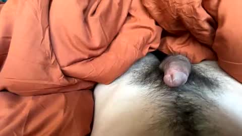 Snapshot of imakeucumonmyface chatting on February 2026 09:24:01 PM imakeucumonmyface online show from February 2026 09:24:01 PM